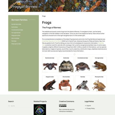 Übersicht der Froschfamilien