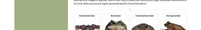 Übersicht der Froschfamilien