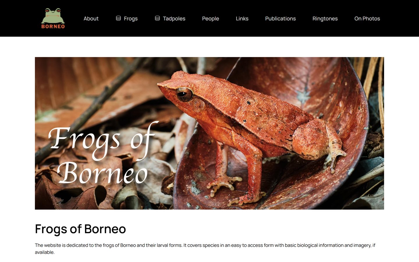 Startseite von frogsofborneo.org mit Titelbild und Hauptmenü