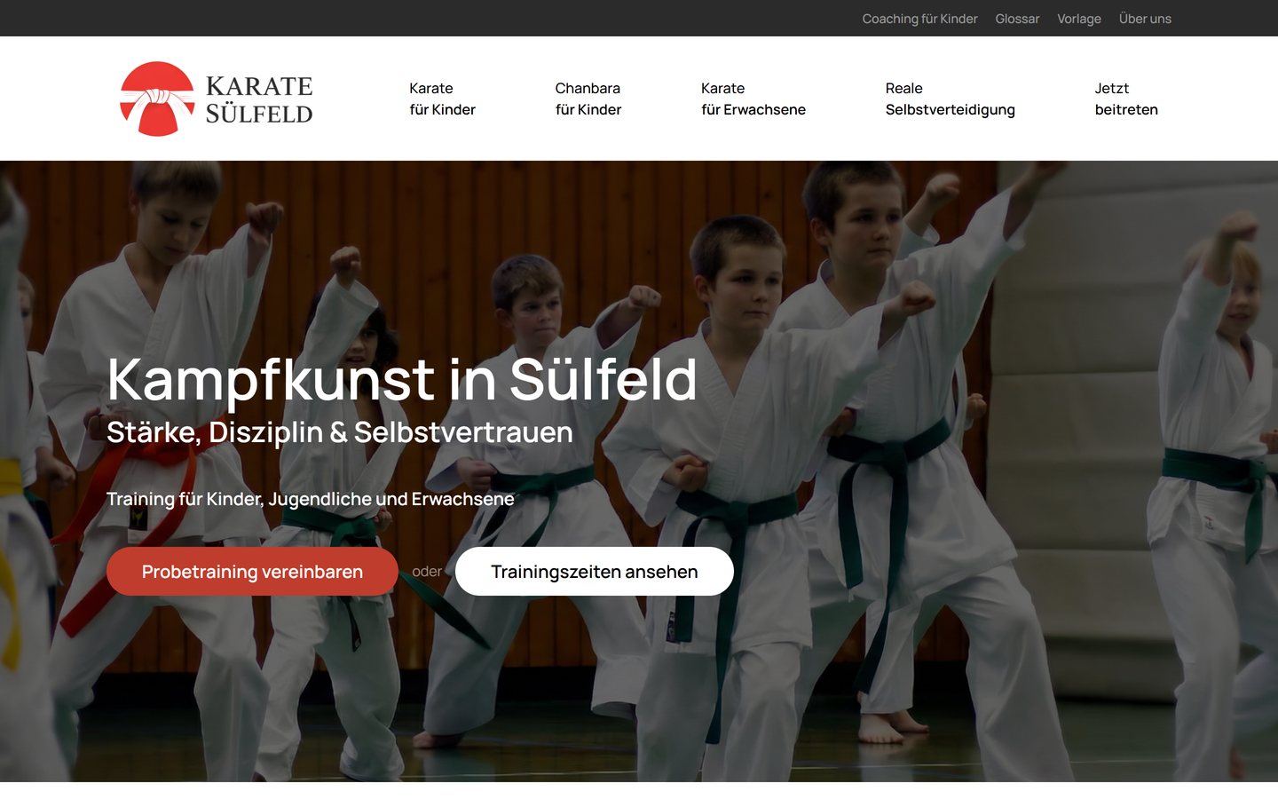 Startseite der neuen Website: „Kampfkunst in Sülfeld – Stärke, Disziplin & Selbstvertrauen“