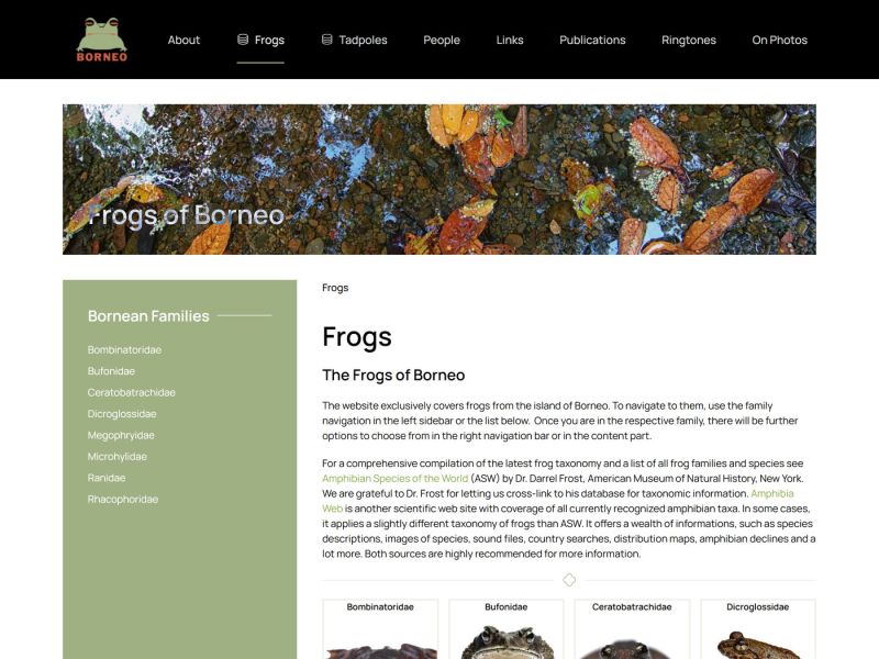 Übersicht der Froschfamilien mit Vorschaubildern