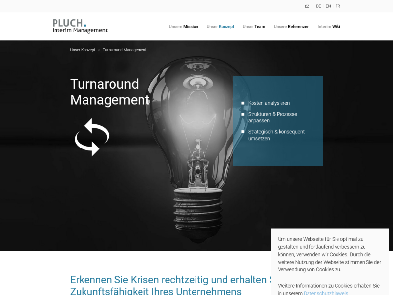 Turnaround Management